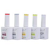 Gel Polish Kit