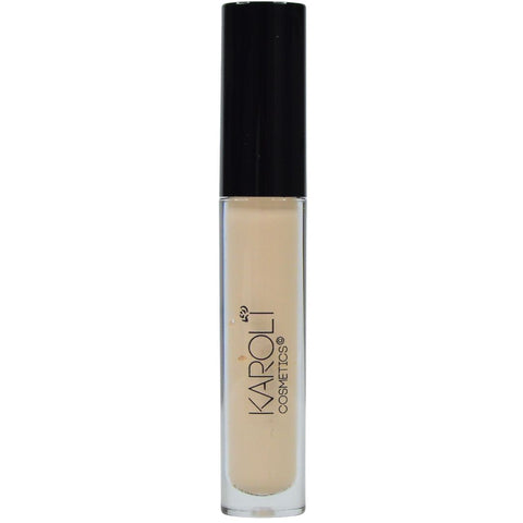 EYESHADOW PRIMER  LIQUID